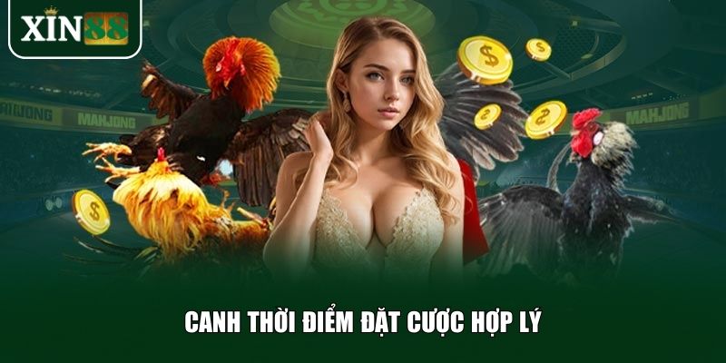 Bạn nên theo dõi sát diễn biến trận đấu và canh lúc tỷ lệ có lợi để vào kèo