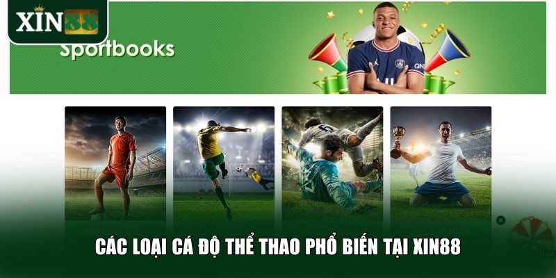 Xin88 cung cấp đa dạng hình thức cá độ thể thao
