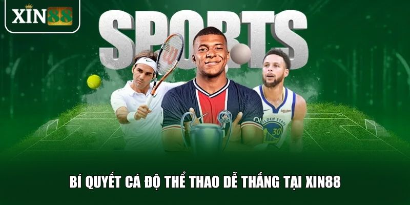 Hai bí quyết quan trọng giúp bạn tăng tỉ lệ chiến thắng khi tham gia cá độ
