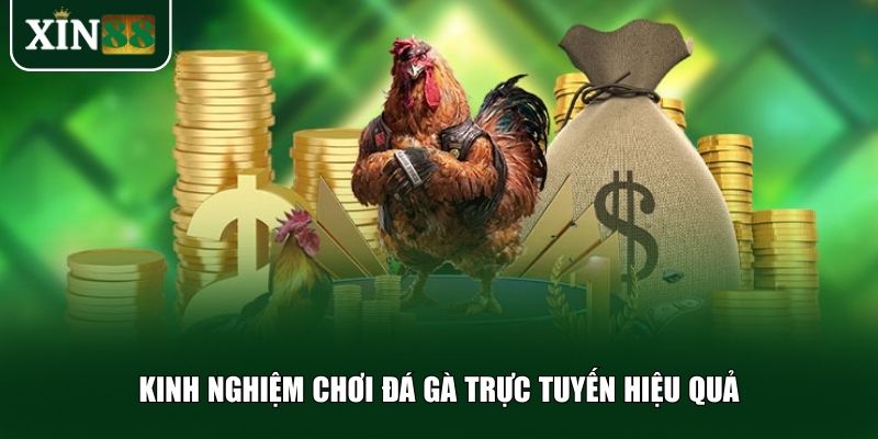 Một số bí quyết được nhiều cao thủ chia sẻ để bạn tham khảo