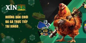 Đá gà trực tiếp