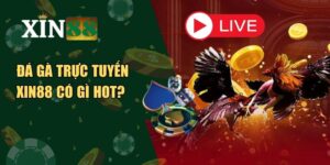 đá gà trực tuyến