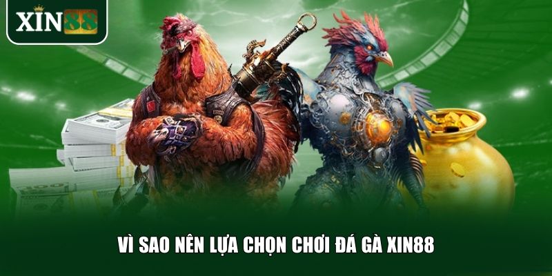 Những lý do hàng đầu khiến Xin88 được đông đảo người chơi lựa chọn