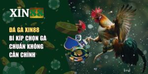 Đá gà Xin88