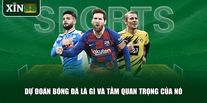 Dự đoán bóng đá là gì và tầm quan trọng của nó
