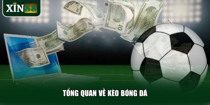 Hiểu rõ về kèo bóng đá sẽ giúp bạn đặt cược tự tin hơn