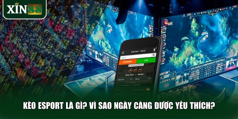 Kèo eSport là xu hướng cá cược được rất nhiều người yêu thích