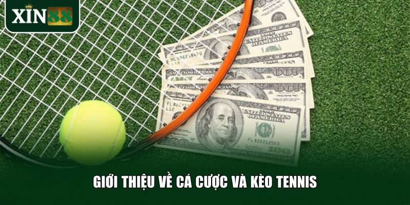 Giới thiệu về cá cược và kèo Tennis
