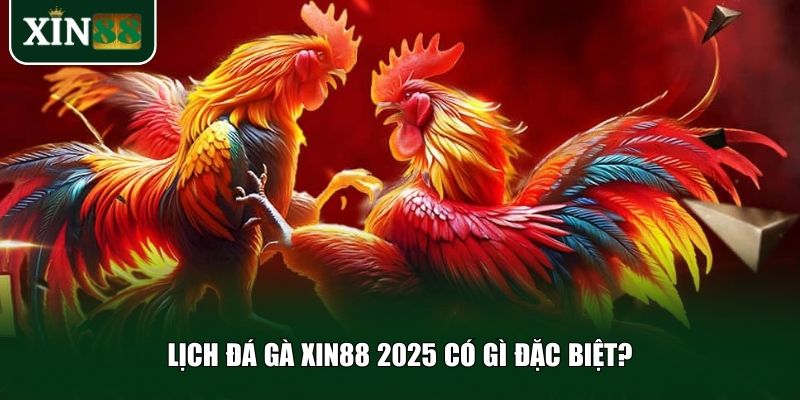 Cùng khám phá những điểm nổi bật trong lịch đá gà năm nay