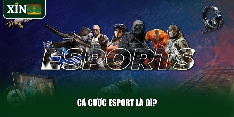 Tìm hiểu cá cược eSport là gì