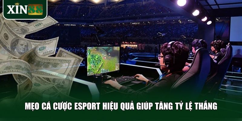 Mẹo cá cược eSport hiệu quả giúp tăng tỷ lệ thắng