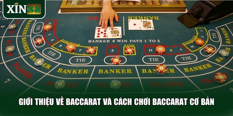 Tìm hiểu những kiến thức cơ bản nhất về trò chơi baccarat