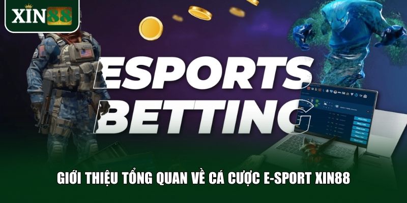Giới thiệu tổng quan về cá cược E-Sport Xin88