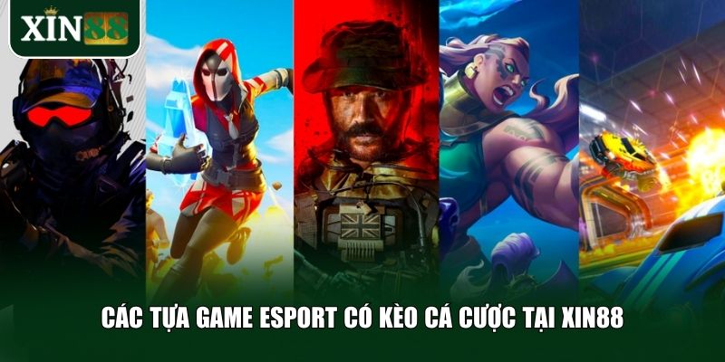 Xin88 mang đến một sân chơi cá cược eSport đa dạng