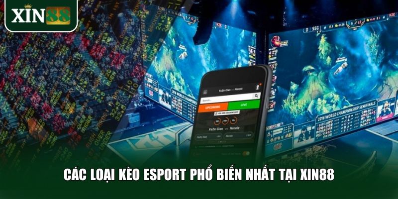 Các loại kèo eSport phổ biến nhất tại Xin88
